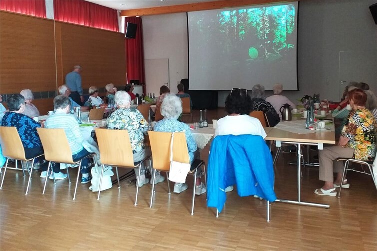 Das Senioren-Team Maria-Himmelfahrt lud am 9. Juni 2026 zu einem Filmnachmittag ein.