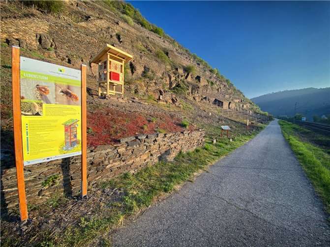 Das Siegerbild von Klaus Breitkreutz. Copyright: Klaus Breitkreutz