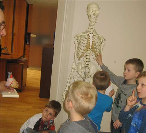 Das Skelett „Kuno“ wurde von den Kindern ausführlich betrachtet. Privat