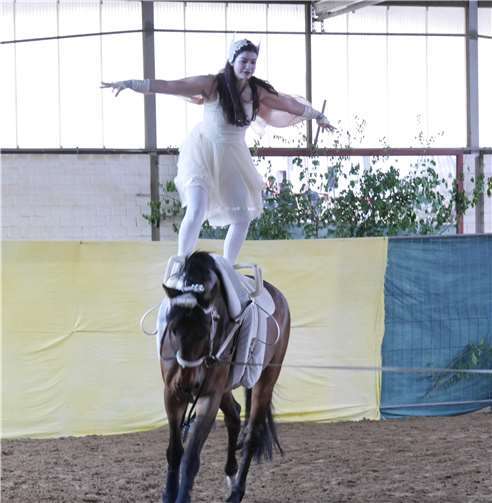 Das Stück trägt den Titel „Raike - der einsame Riese“.