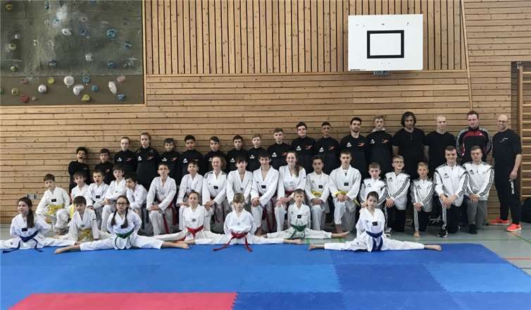 Das Team „Sporting Taekwondo“ konnte bei den Landesmeisterschaften in Bad Kreuznach glänzen. privat