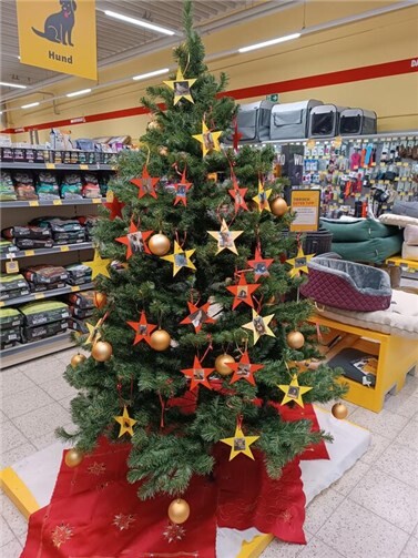 Das Tierheim Andernach hat wieder Wunschbäume für seine Schützlinge aufgestellt. Foto: privat