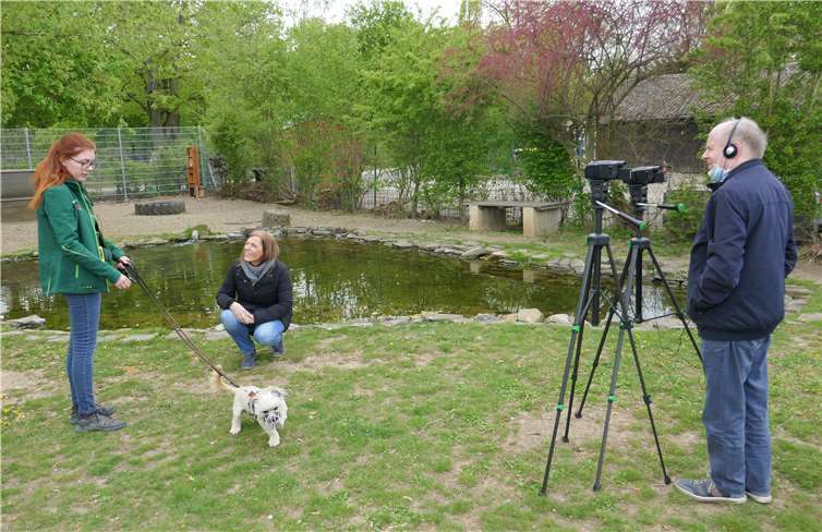Das Tierheim Andernach stellt im Filmbeitrag drei Hunde vor, die schon länger das richtige Zuhause suchen.