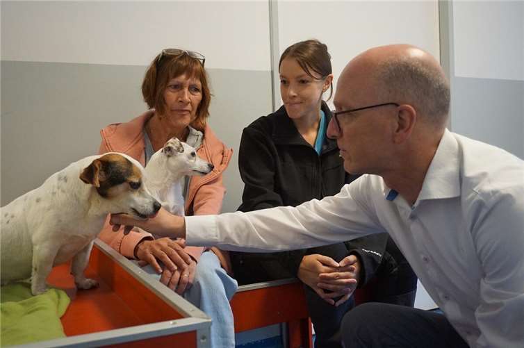 Das Tierheim Mayen freut sich jederzeit über Spenden, sodass alle Bewohner bestmöglich versorgt werden können.  Foto: Jacqueline Blang/Stadt Mayen