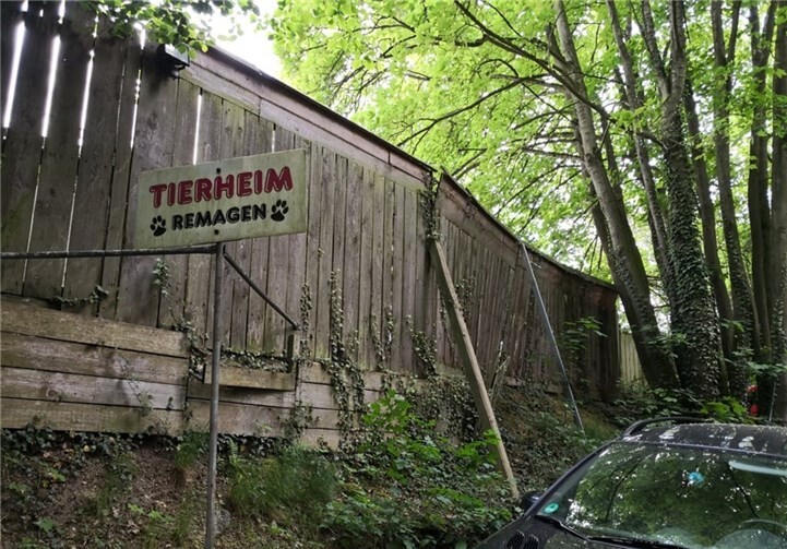 Das Tierheim in Remagen.