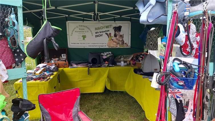 Sommerfest im Tierheim Das Tierheim in Remagen lädt wieder ein.  Foto: privat