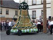Das Tragegestell wird entfernt und die Eierkrone mit Muskelkraft am Baum emporge...