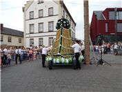 Das Tragegestell wird entfernt und die Eierkrone mit Muskelkraft am Baum emporge...