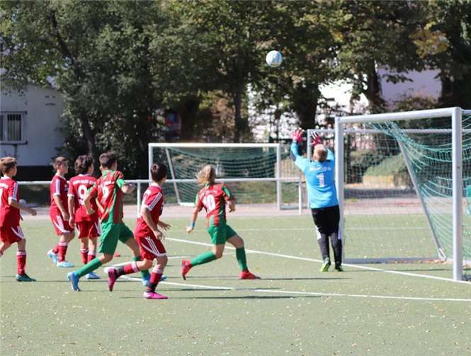 Das Training der D-Junioren findet dienstags in Wehr und donnerstags in Niederzissen statt.Fotos: JFV Zissen