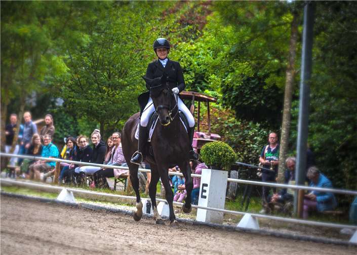 Das Turnier startete mit dem Dressurwettbewerb am 22. und 23. August.Roland Schäfges - www.myfoto24.eu