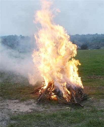 Das Verbrennen von Grünschnitt ist verboten.Foto: Pressestelle derKreisverwaltung