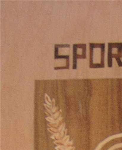 Das Vereinswappen des Sportschützenteams Pellenz 1995. privat