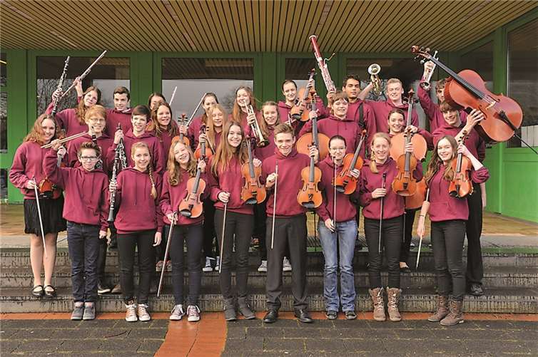 Das Wachtberger Jugendorchester. privat