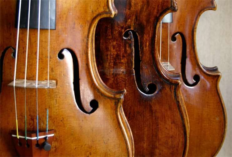 Das Wachtberger Kammerorchester sucht Nachwuchs.Privat