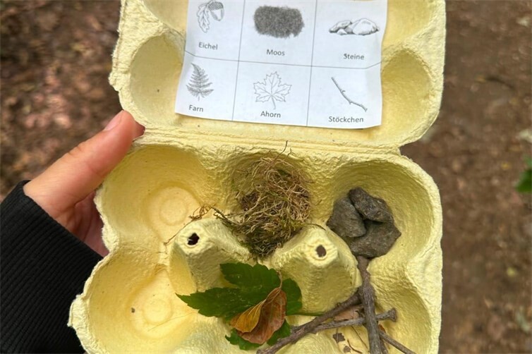 Das Wald-Memory fand besonders großen Anklang bei den Kindern