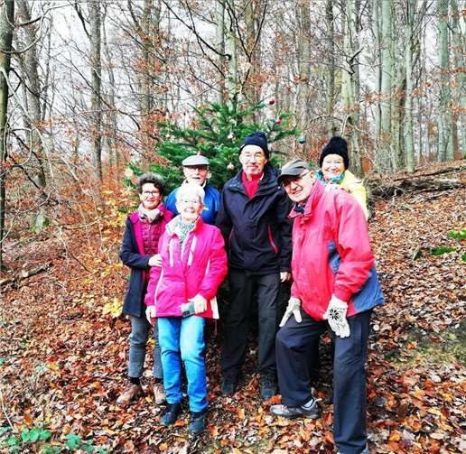 Das Walking-Team vor dem Baum.