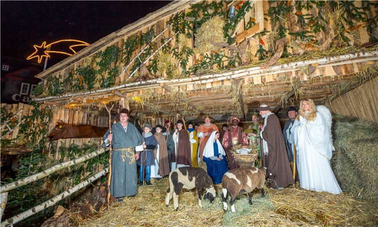 Das Weihnachtsdorf und die Lebende Krippe lassen Andernach in der Adventszeit im festlichen Glanz erstrahlen.Foto: Andernach.net GmbH