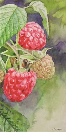 Das Werk „Himbeeren“ besticht durch Pastelltöne.  privat