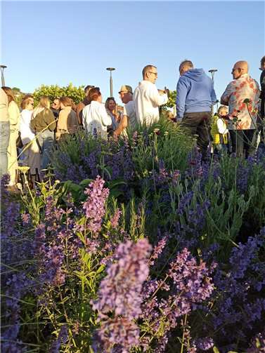Das Wetter hatte auch mitgespielt.