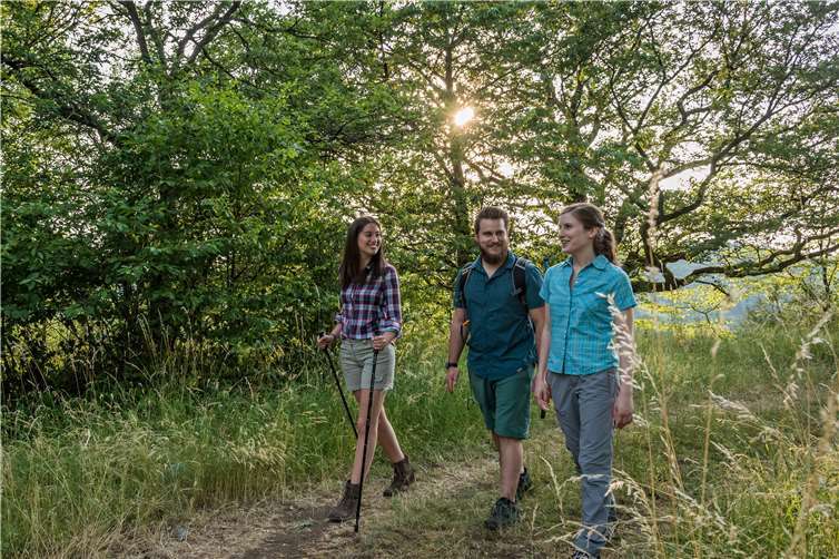 Das Wiedtal und das Rengsdorfer Land bieten viele attraktive Wandermöglichkeiten. Foto: Andreas Pacek / Touristik-Verband Wiedtal e.V.