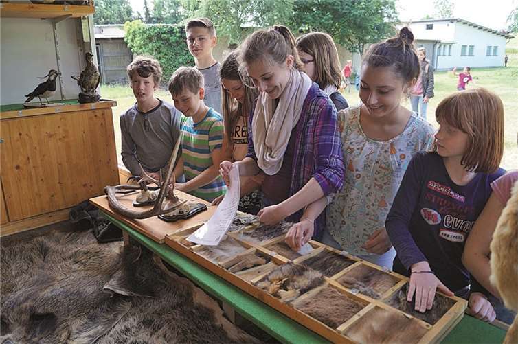 Das Wildmobil der Kreisjägerschaft lieferte für manche Fragen die passenden Präparate. Hier waren zum Beispiel Fell- und Tierhaare richtig einzuordnen.MT