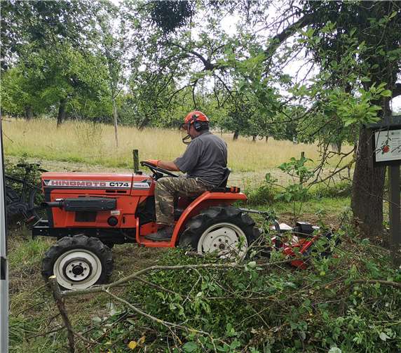Das angefallene Schnittgut wurde abtransportiert und auf den ‚Scheid‘ gebracht.
