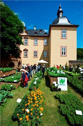 Das große Gartenfestival zum Schauen, Genießen und Kaufen Das barocke Wasserschloss, errichtet 1680, ist gänzlich original und authentisch erhalten und liegt in malerischer intakter Landschaft des Rheinlandes. Foto: privat
