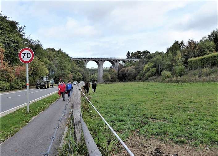 Das bedeutendste Bauwerk der ehemaligen Vennquerbahn ist der Viadukt von Bütgenbach, der sich mit seinen 6 Bögen 30 m über dem Tal der Warche erhebt und eine Länge von 104 m aufweist. Heute befindet sich auf ihm ein Fahrradweg von dem aus man eine herrliche Aussicht in das Warchetal und den Bütgenbacher Stausee hat. Die Wanderstrecke verlief allerdings „nur“ durchs Tal.