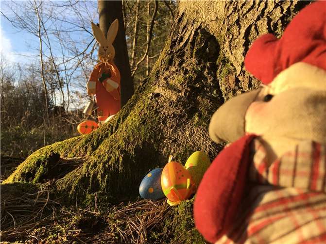 Das böse Huhn Gola hat alle Ostereier versteckt, wer kann sie finden? Quelle:Forstamt Koblenz