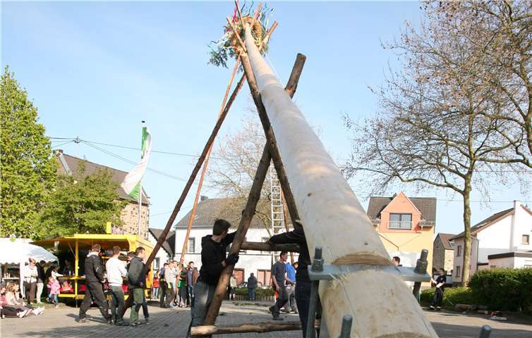 Das diesjährige Maibaumstellen findet am 30. April um 17 Uhr statt. Privat