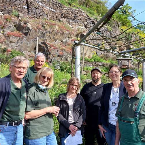 Das diesjährige Motto im Weinberg lautete: „Was haben Hustenbonbon und Pizza gemeinsam?“ Foto: privat
