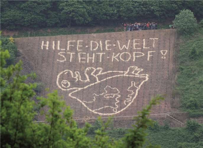 Das diesjährige Sägemehlbild zeigt eine Schildkröte, die auf ihrem Panzer liegt. Privat