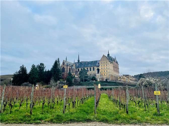 Stadtrat gibt grünes Licht für Umnutzung des Klosters Calvarienberg Das ehemalige Kloster prägt das Stadtbild von Ahrweiler. Foto: ROB