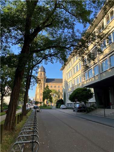 Das erste Baufeld befindet sich in der Höhe des Max-von-Laue-Gymnasiums in der Südallee.  Foto: Stadt Koblenz/Verena Groß (Archiv)