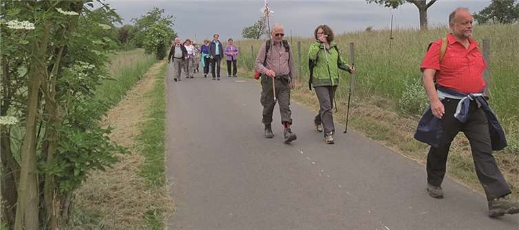 Das gemeinsame Wandern bot die Gelegenheit zum Austausch mit anderen Teilnehmern.