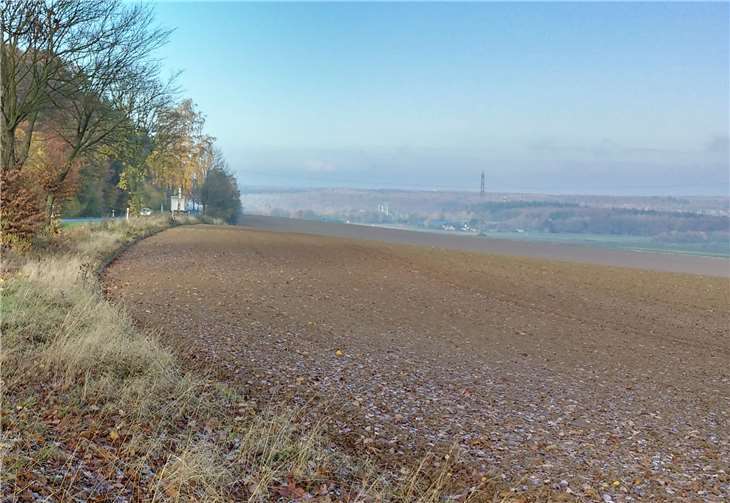 Das geschaffene Blühfeld am Wachtbergring wurde über Nacht untergepflügt. Foto: Parents for Future – Wachtberg