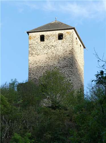 Das gleiche Prozedere gilt für die vorgelagerte Burg Treis nebst den dazugehörigen Waldflächen.