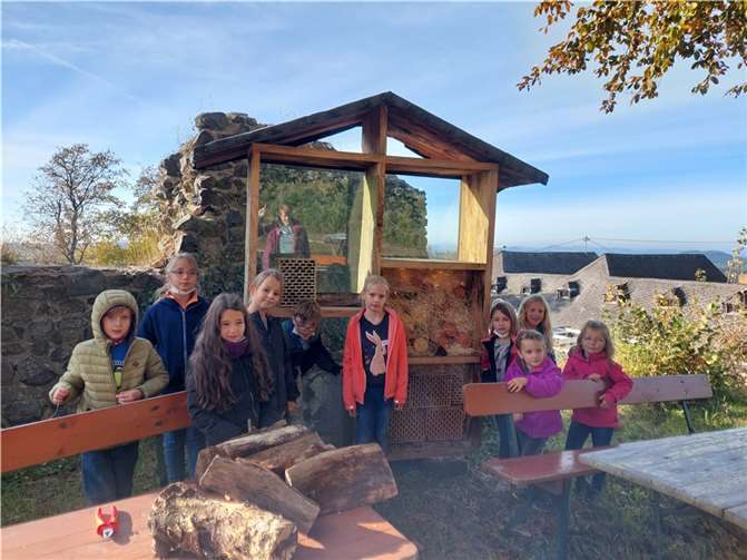 Das große Insektenhotel auf der Nürburg wurde befüllt.Foto: privat