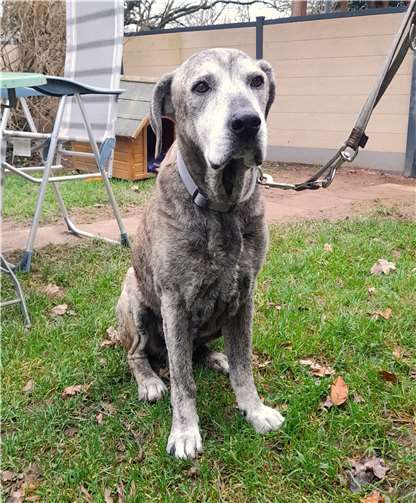 Das ist Aakash.  Foto: Claus Krah