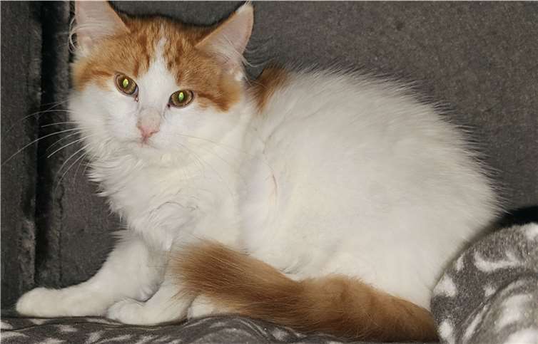 Das ist Akiko.  Foto: