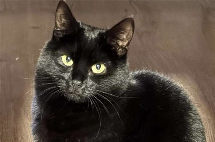 Das ist Antonia.  Foto: privat