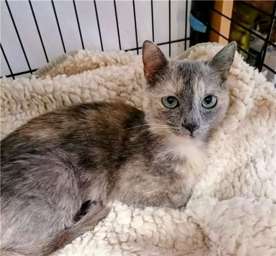 Das ist Aurelia.  Foto: privat