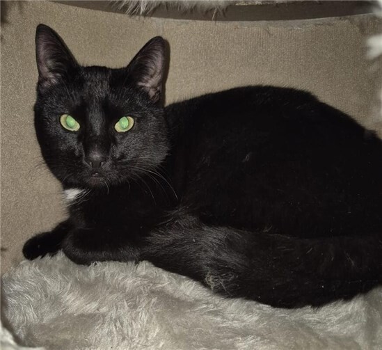 Das ist Billy.  Foto: privat