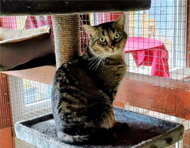 Das ist Buddy.  Foto: privat