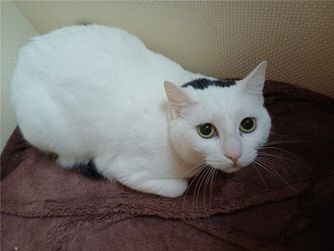 Das ist Can.  Foto: privat