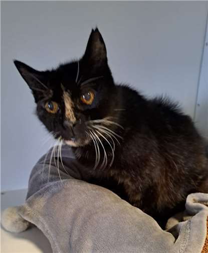 Das ist Cassy.  Foto: privat