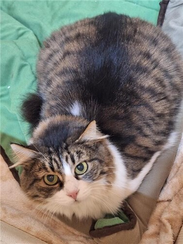 Das ist Ceylin.  Foto: privat