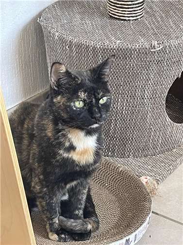 Das ist Doro.  Foto: privat