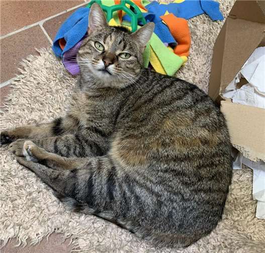 Das ist Elfriede.  Foto: Claus Krah