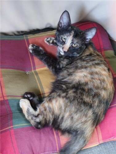 Das ist Ella.  Foto: privat